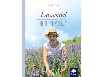 Lavendel in seiner Vielfalt