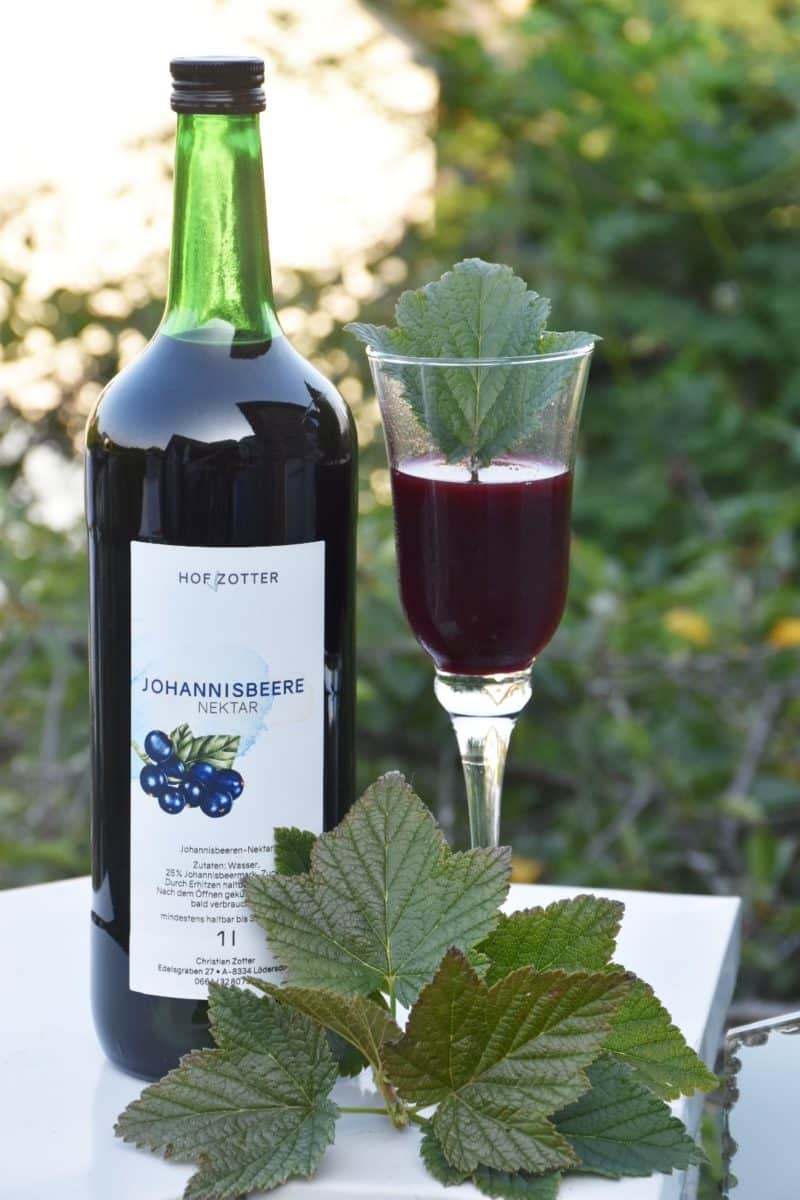 Johannisbeernektar